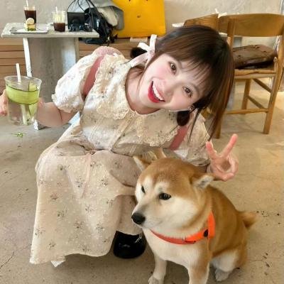 狼之谜